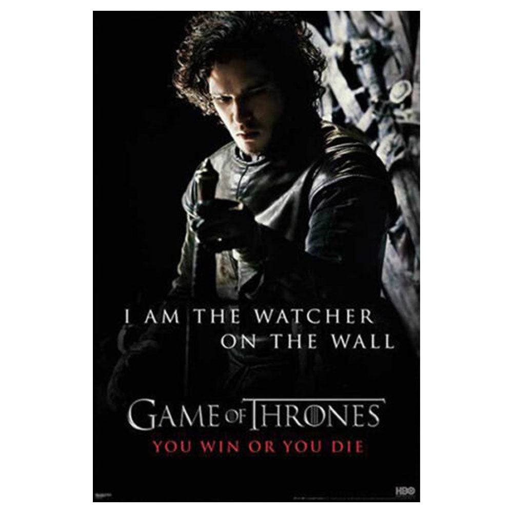 Game of Thrones Poster