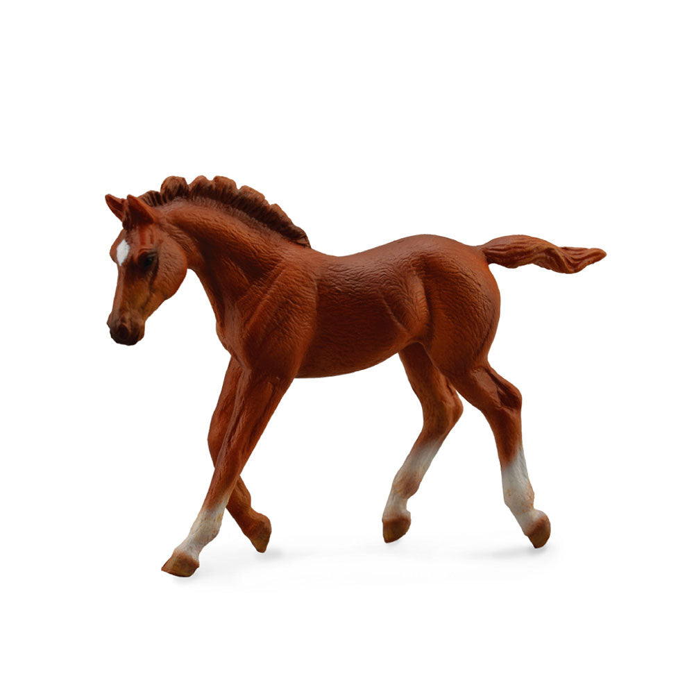 CollectA Thoroughbred Foal Chestnut (Medium)