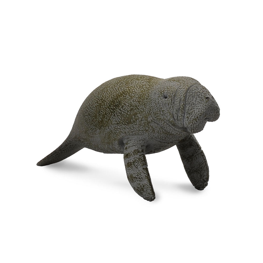 CollectA Swimming Manatee Calf Figure (Medium)