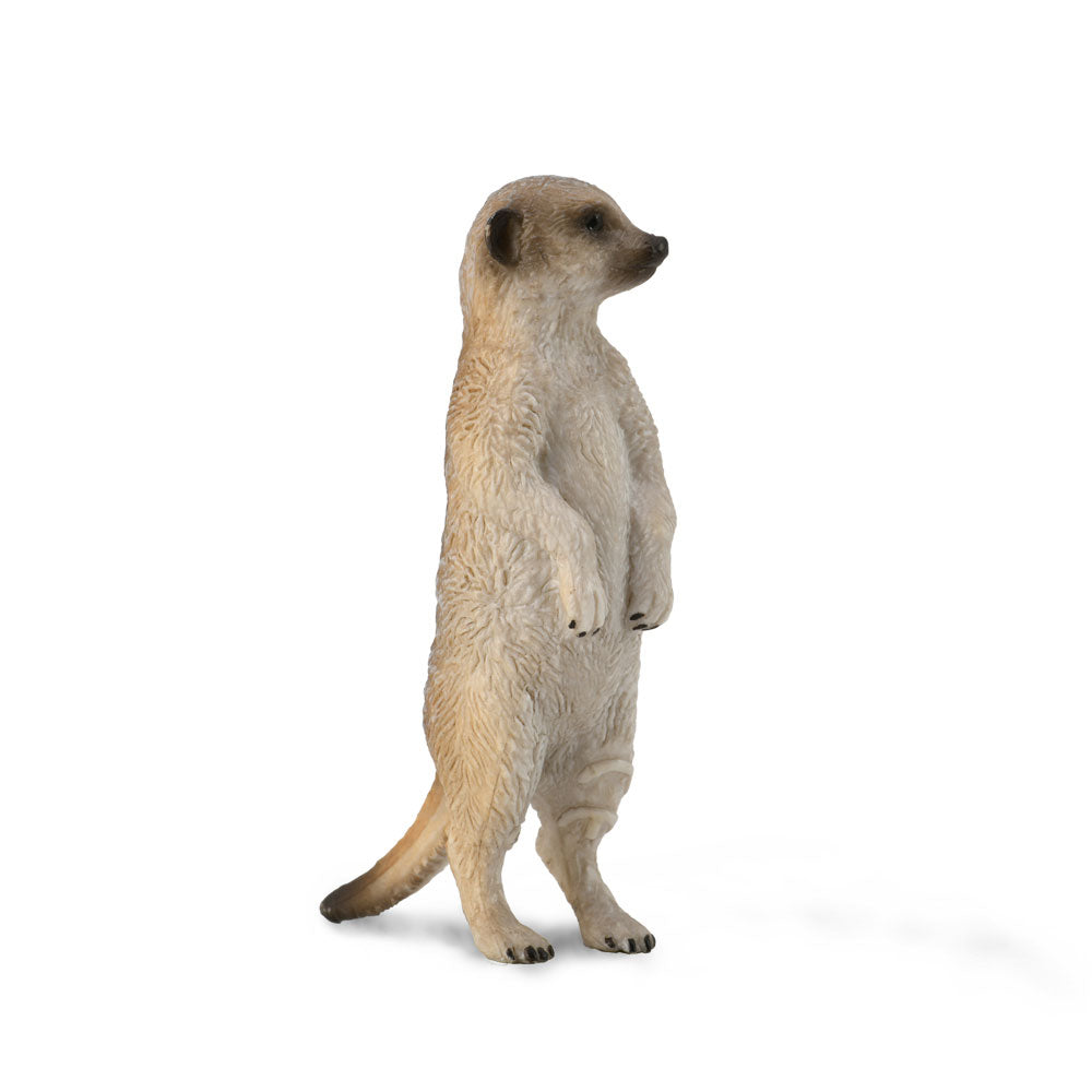 CollectA Meerkat Figure (Small)