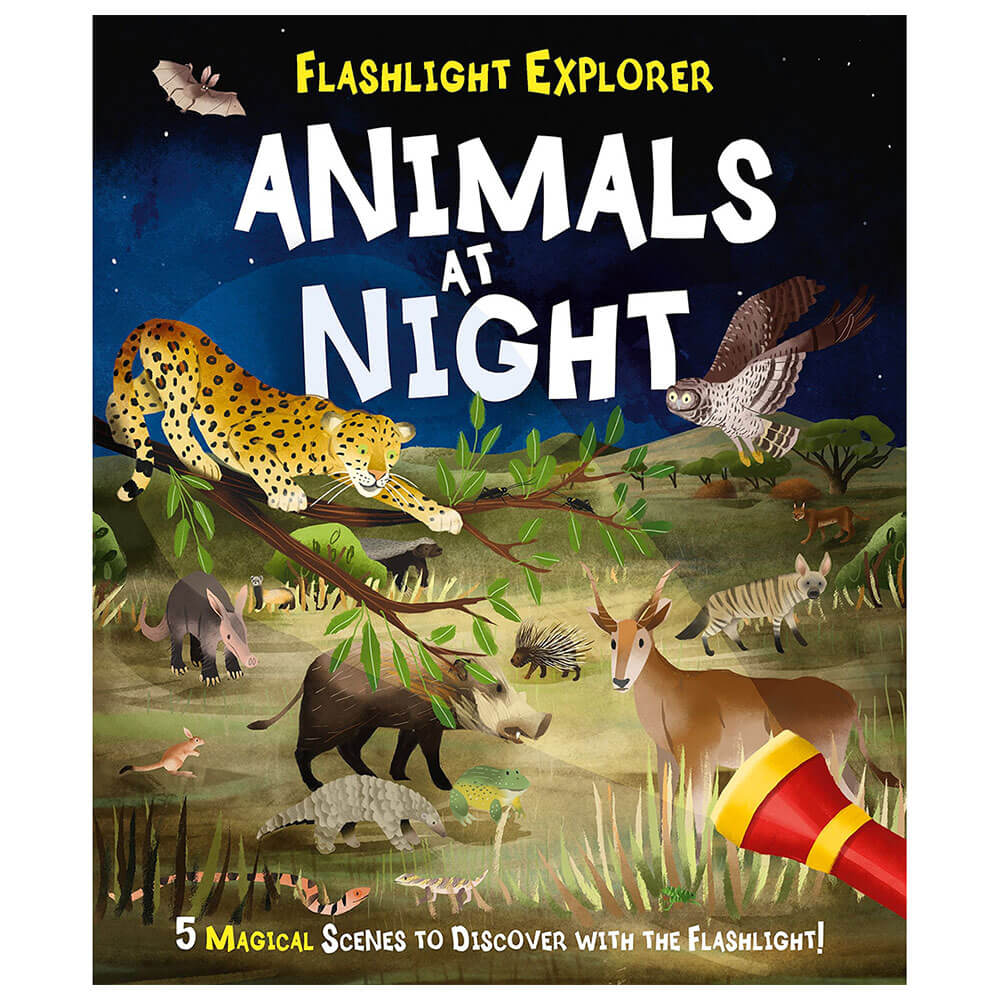 Flashlight Explorers Animals at Night Book by Lisa Regan