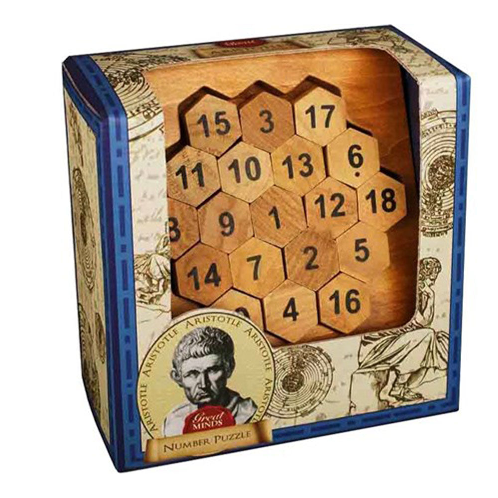 Great Minds Wooden Brainteaser Puzzle