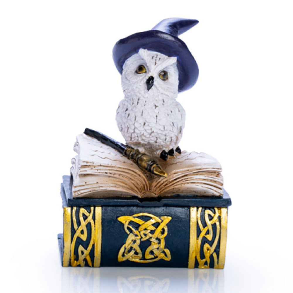 Snowy Owl Book Trinket Box