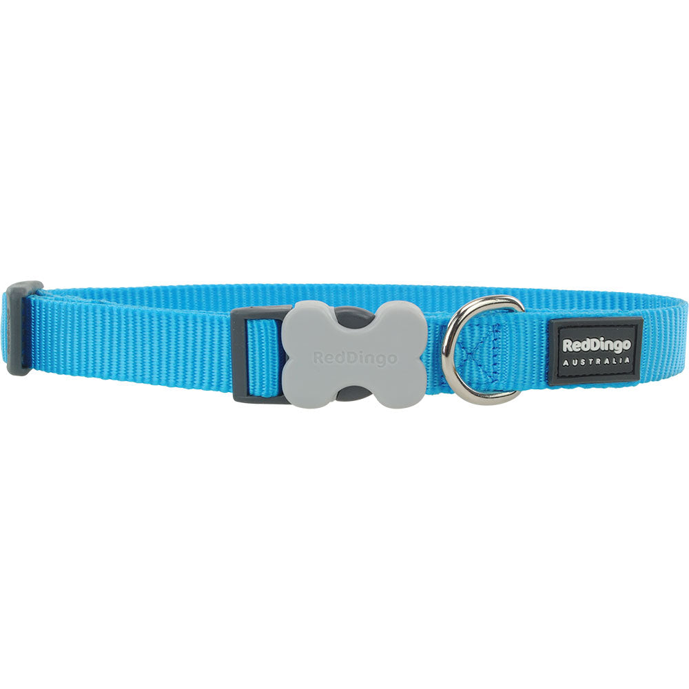 Classic Dog Collar (Turquoise)