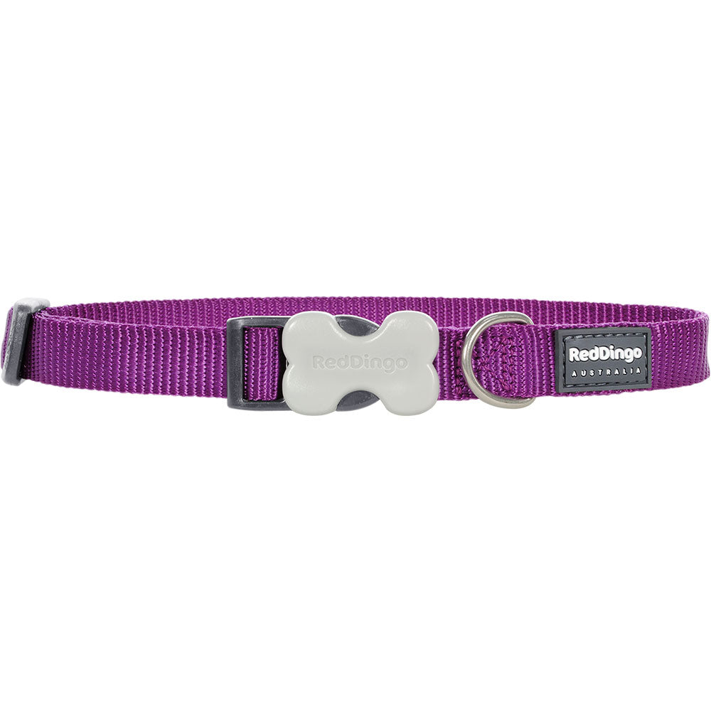 Classic Dog Collar (Purple)